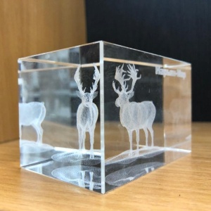 Объемная лазерная гравировка внутри стекла