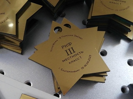 Шильдики из пластика - шлифованное золото 